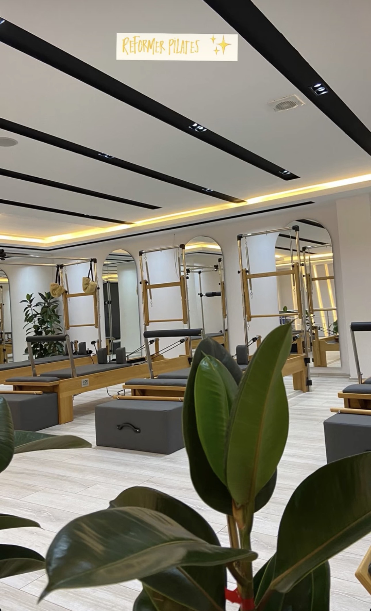 Venom Fitness Wellness Alanı